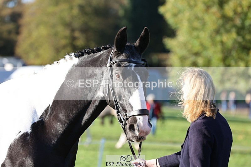 241027-090753-15058 - 303-Beatrice.Southcombe-COUSIN.JERRY