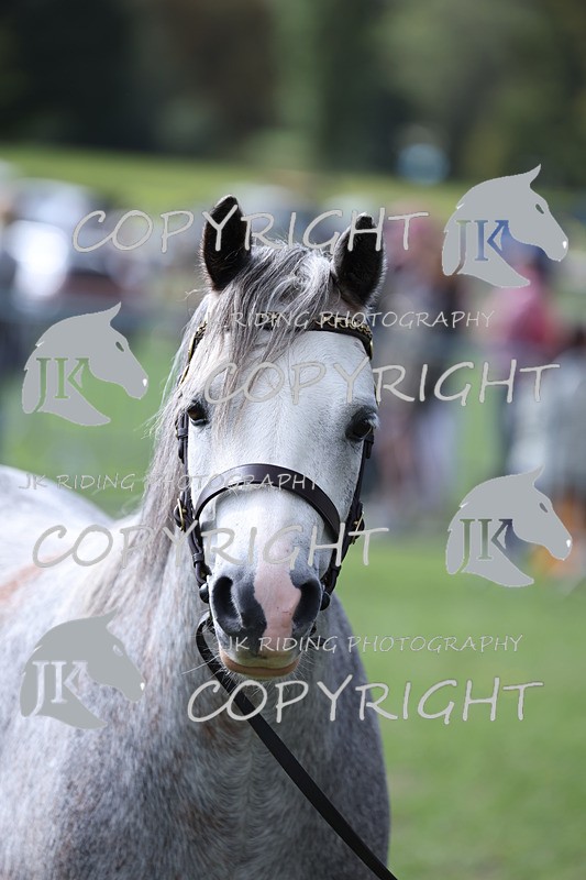 APP_2940 - Class 10a/b M&M in hand