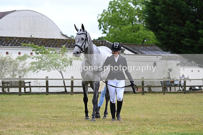 WJ7_6041 - Class 4a Prettiest Mare over 14hh