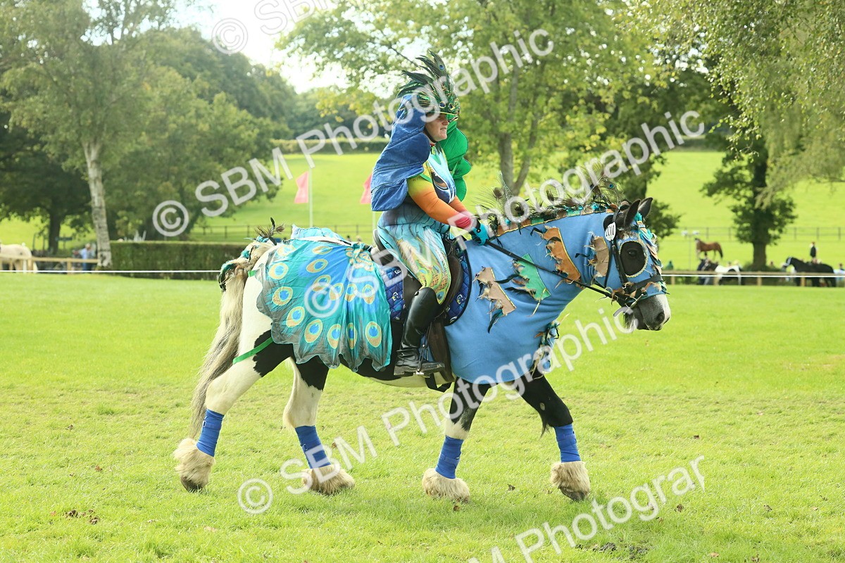 SBM_63484 - S35 - Fancy Dress Showing
