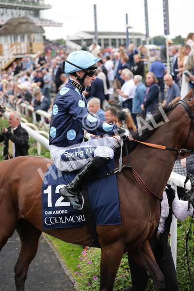 yr20082021r4-82 - Race 4 3.35pm Coolmore Wootton Bassett Nunthorpe Stakes (British Champions Series Race)