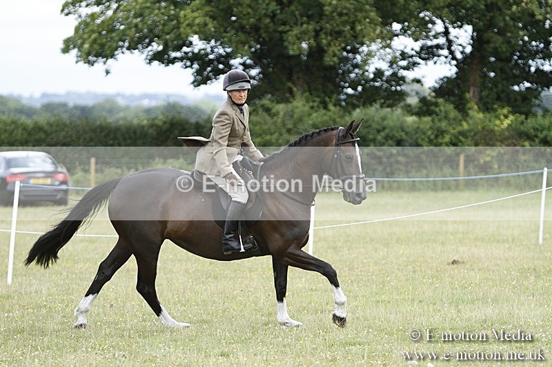 BVR160717-1842 - Ring 3 BVRC Show 16/07/17