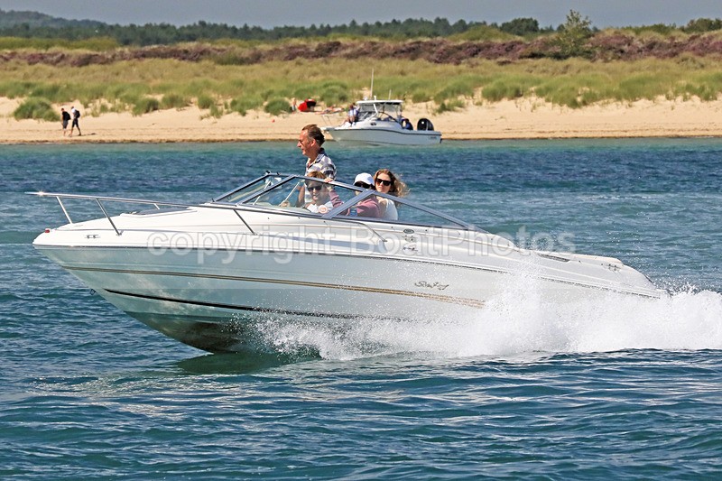 170813 UNNAMED - SEARAY 1Y3A3901 - Motorboats - Open