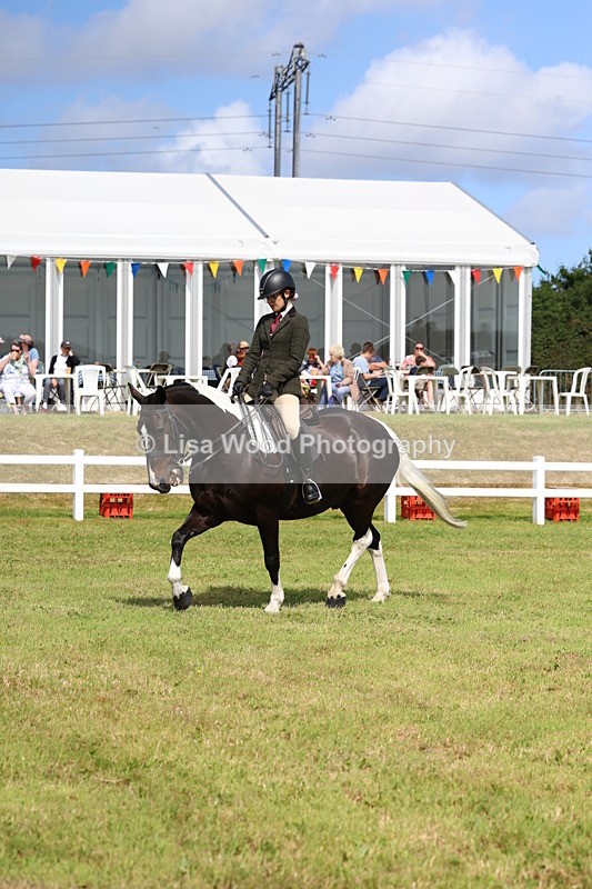 3E7A9834 - Class 5: Rising Star Lightweight/Heavyweight Cobs