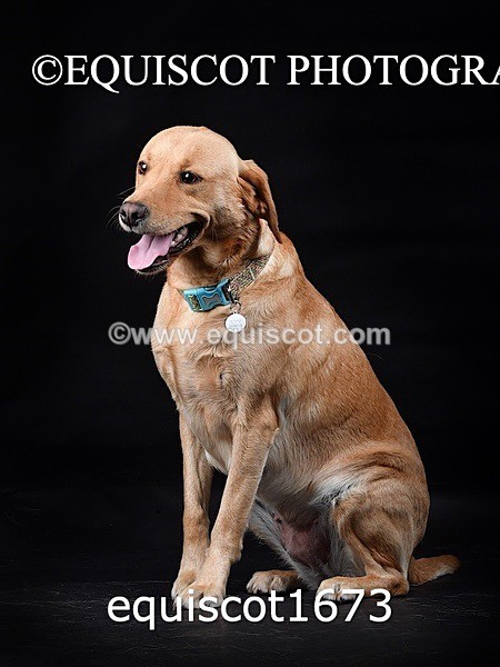 equiscot1673 - MOLLY & MACEY