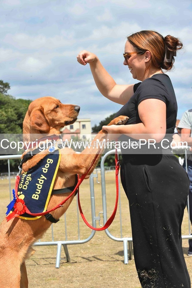 SH4_0269 - Dog show.