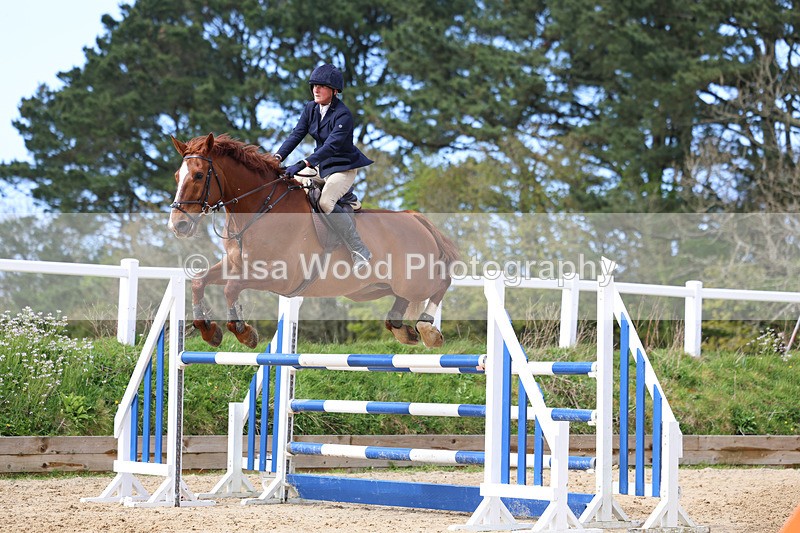 3E7A2109 - Class 8: Senior Foxhunter/1.20 open