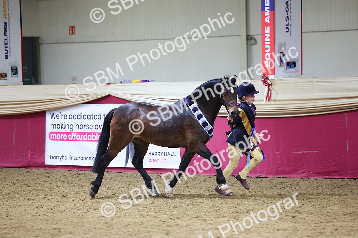 SBM_18596 - Class B Junior Champ 11-16 years