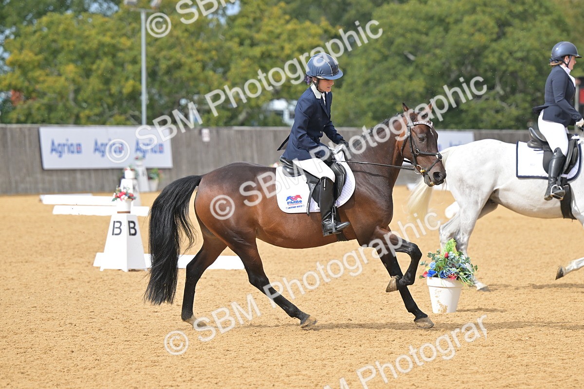 SBM_11028 - D3 - Small Tour Championship Intro 3