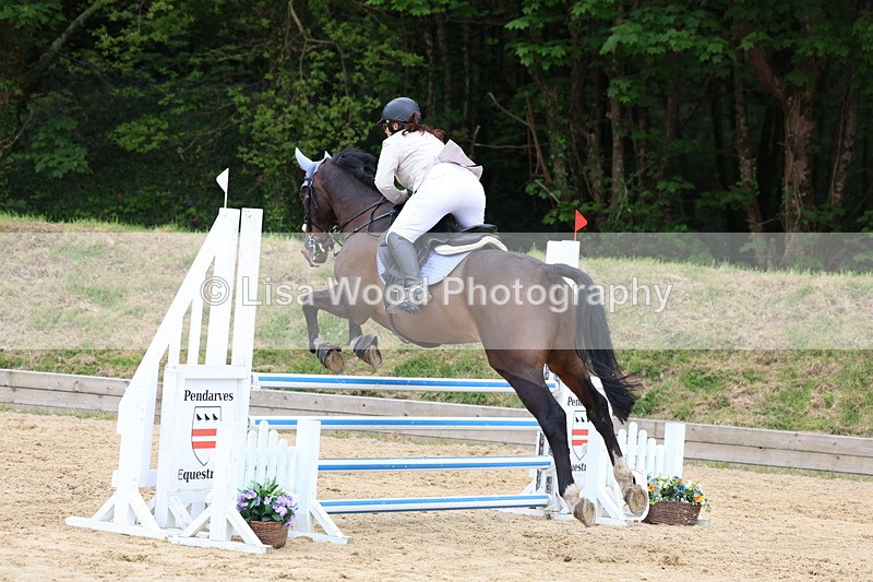 3E7A6141 - Class 4: Senior British Novice/90cm open