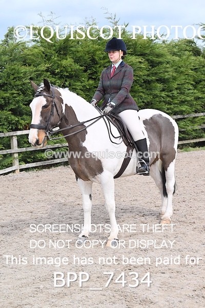 BPP_7434 - RING 1  (RIDDEN HORSES / IN HAND / VETERAN ETC)