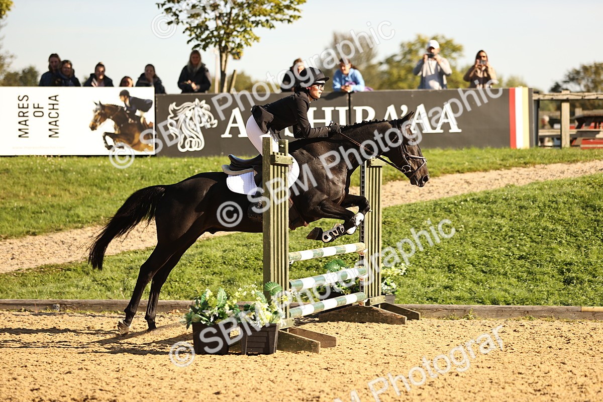 SBM_34802 - J38 - Senior 80cm Championship