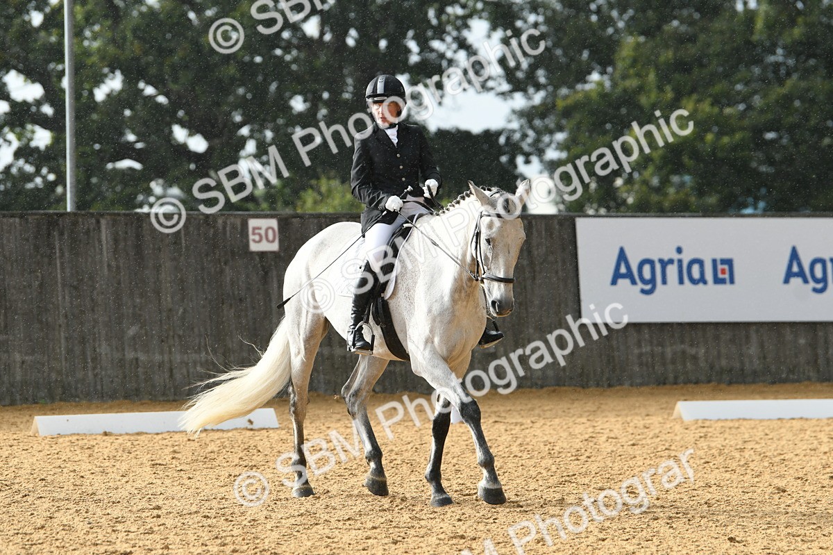 SBM_11158 - D28 Elementary Taster Elementary 42