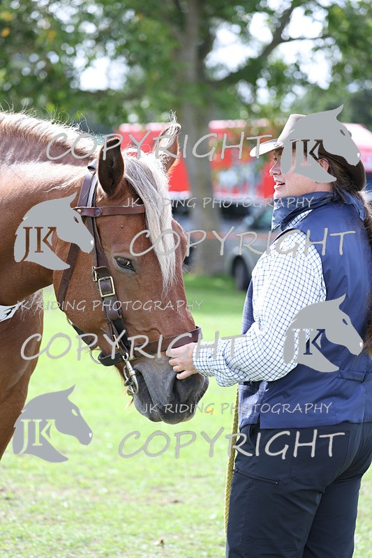 APP_3273 - Class 4 Veterans