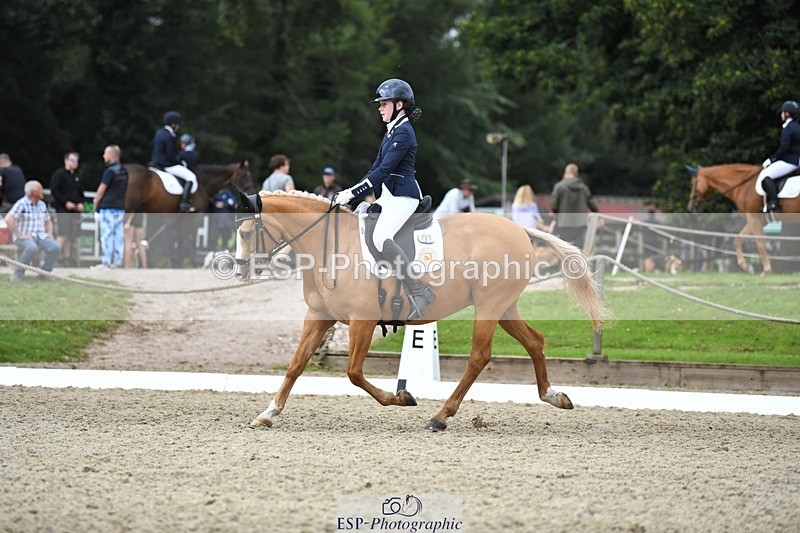 230812-123847-04175 - Cls 6 Novice Silver 12.10 to End