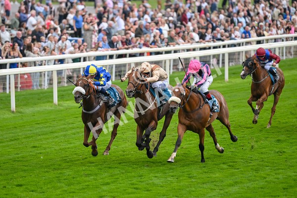 080925-Race 3-Rock N Roll Pinkie-7512 - Race 3 3.30pm Skybet Proud To Support ROR Stayers Handicap