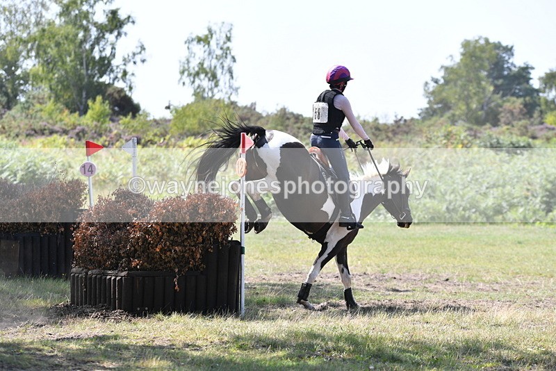 WJ5_3202 - XC Time 13:03 to 13:28