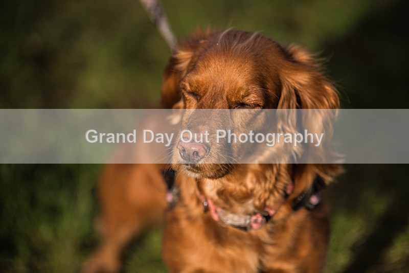 Jarrett-391 - Jarretts Jaunt Handicap Fell Race Saturday 3rd February 2024
