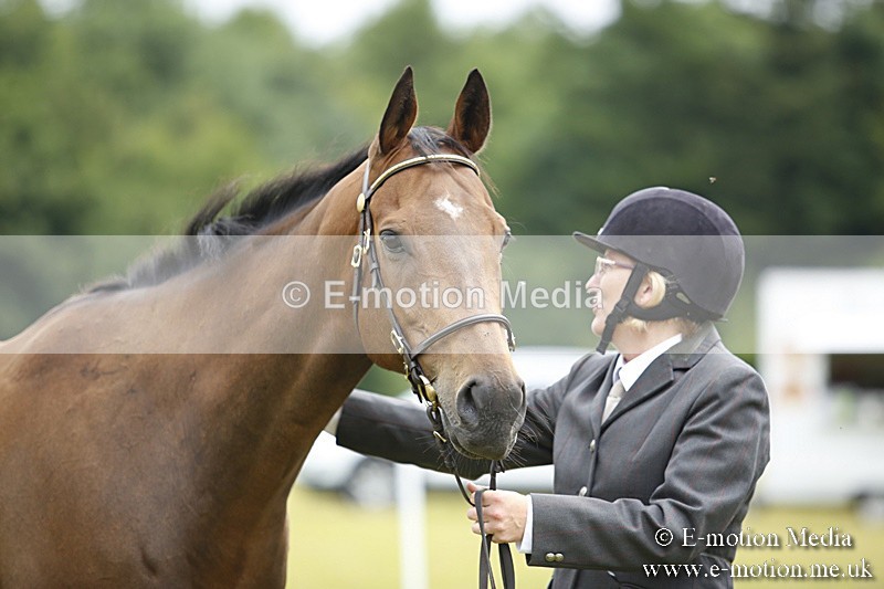 BVR160717-51 - Ring 1 BVRC Show 16/07/17