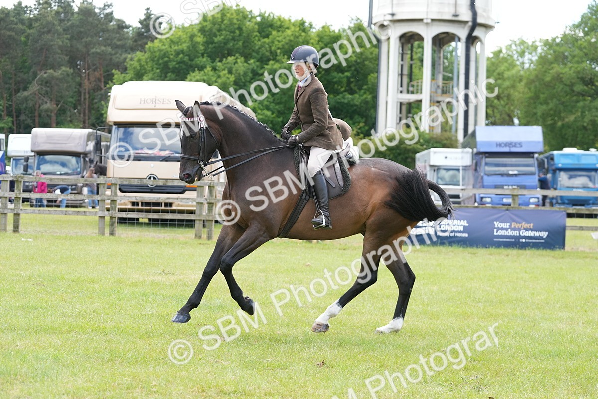 SBM_16250 - Class 105-106 - RIHS Riding Horses