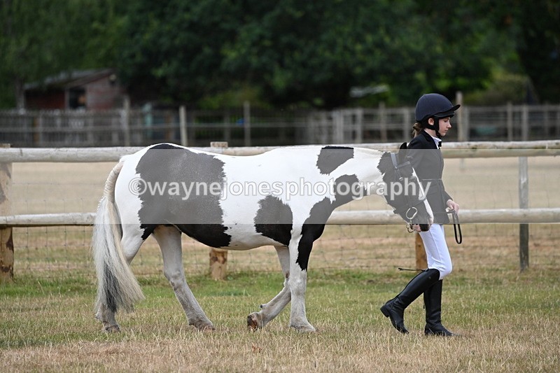 WJ6_4156 - Class 10 Coloured In-hand