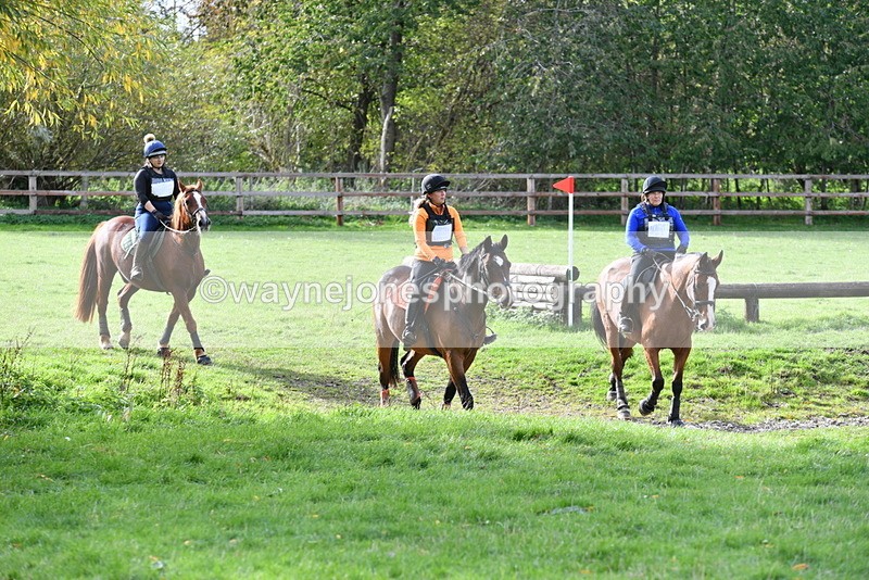 WJ5_1097 - Time 14:29 to 15:31