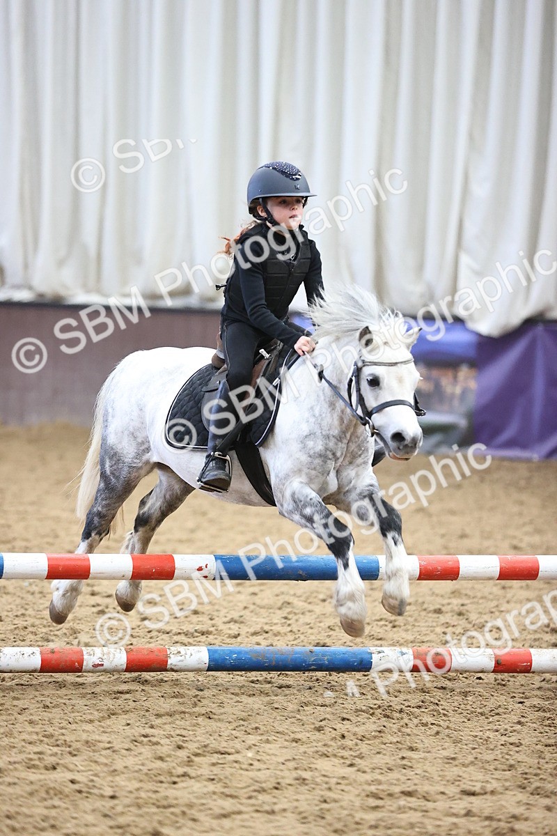 SBM_001384 - Class 3 - Horse & Hound 60cm