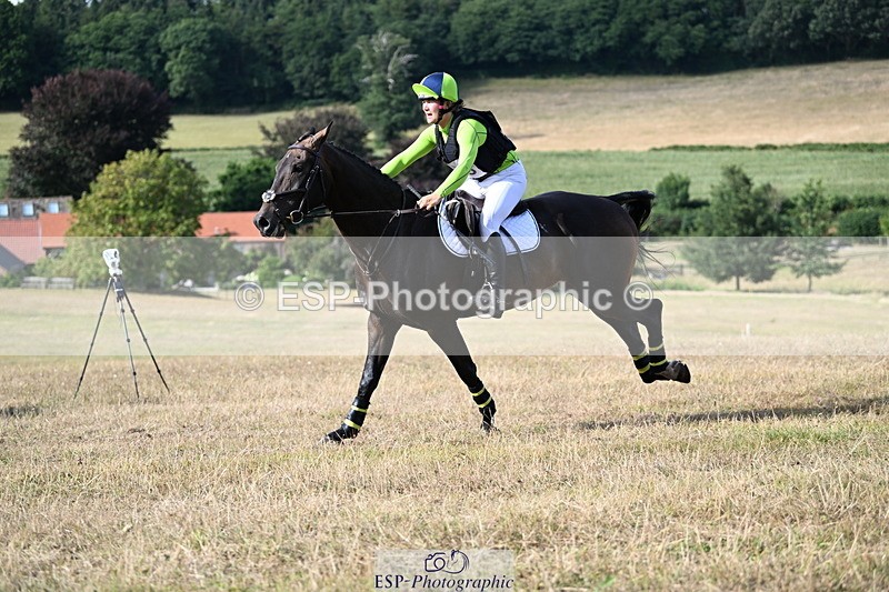 250803A-171706-18389 - S-856-Helena.Stock-ROYAL.UPDATE