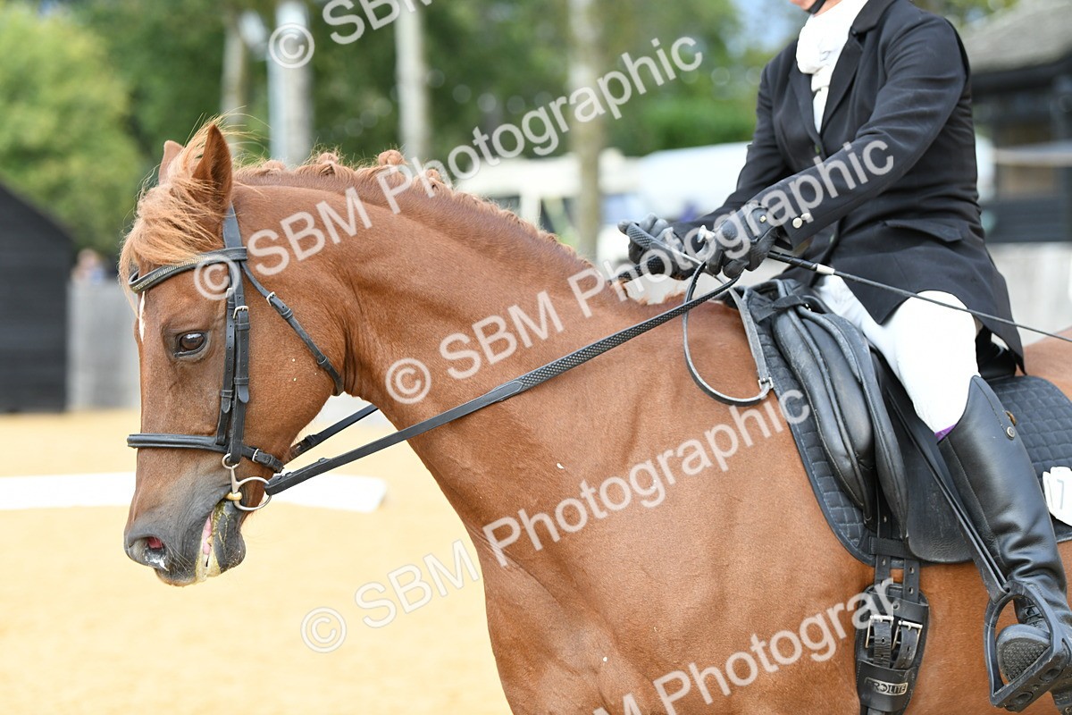 SBM_10970 - D28 Elementary Taster Elementary 42