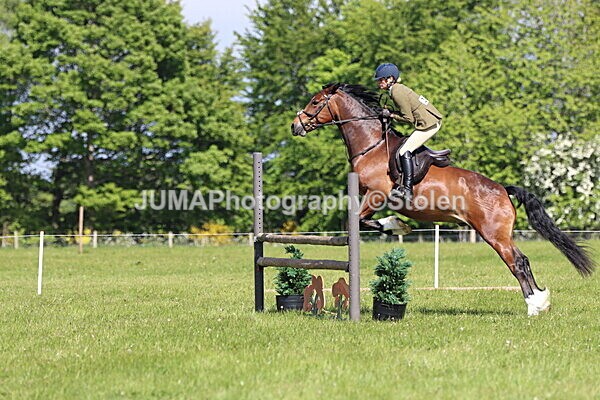 IMG_4704 - Working Hunter