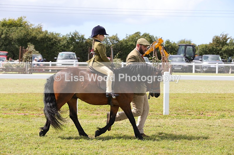 1X9A5084 - Class 36: NPS M&M Lead Rein