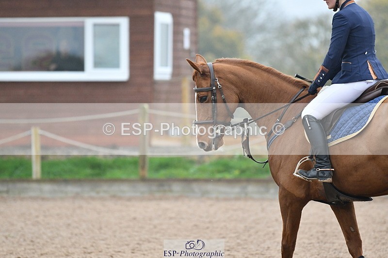 241102A-111633-04243 - SAT Cls 9 British Novice and 90cm Open