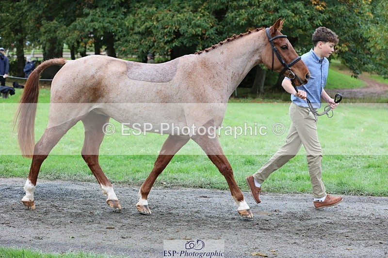 251026A-112907-25466 - F-403-Hugo.Moor