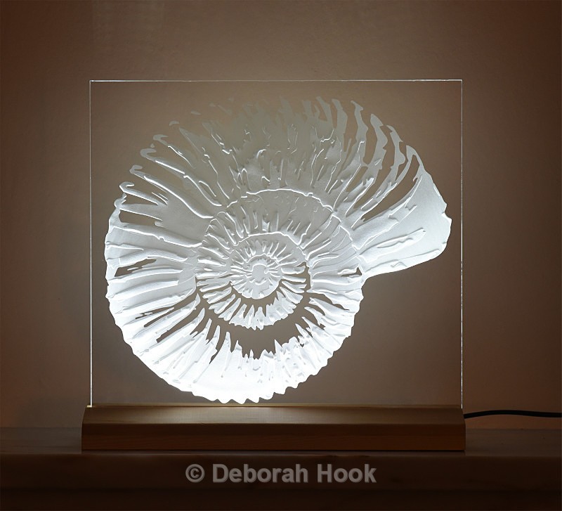 Ammonite - Glass
