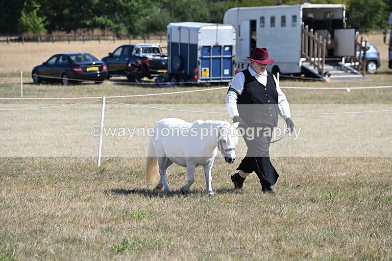 WJ6_4599 - Class 17 Mountain & Moorland