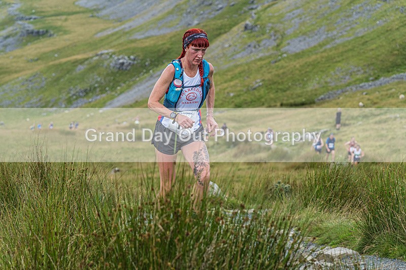 Ingleborough-366 - Ingleborough Mountain Race Saturday 20th July 2024