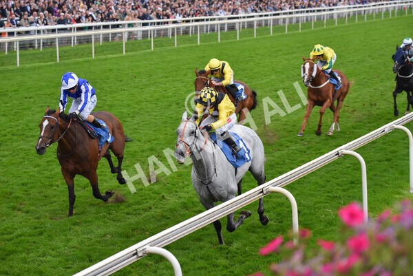 yr09102021r6-18 - Race 6 4.25pm Coral Best Odds Guaranteed Handicap