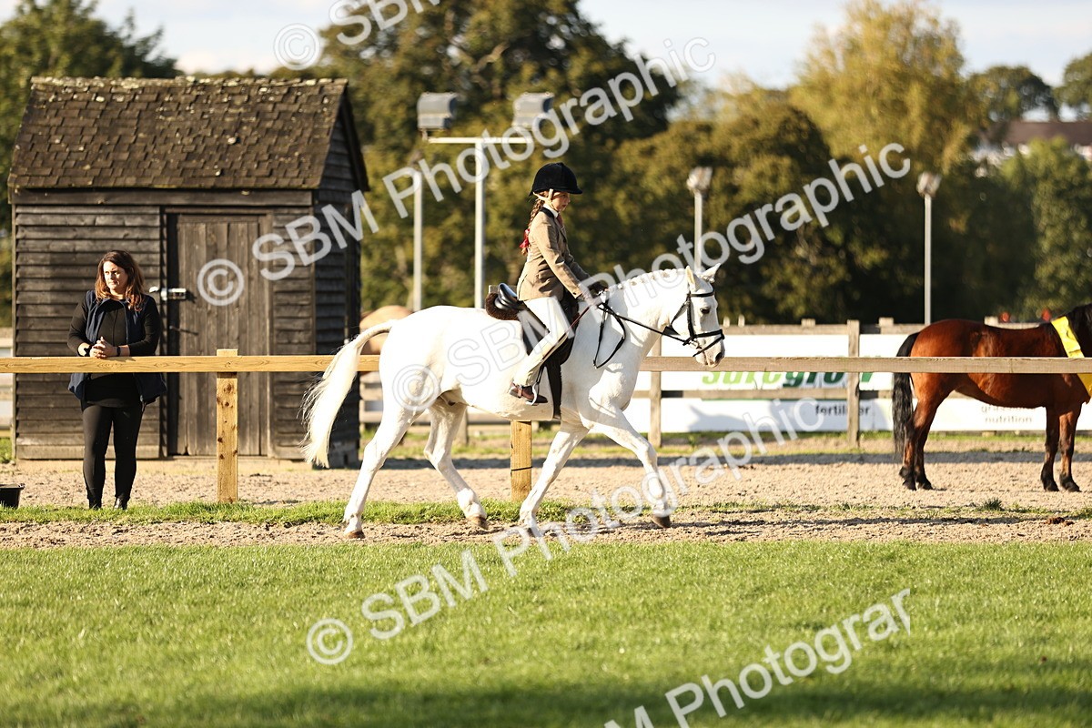 SBM_29622 - S7 - Novice & Newcomers Ridden Pony