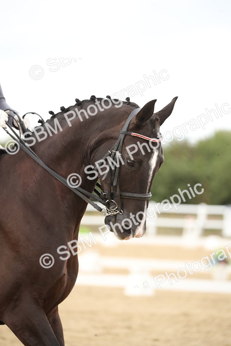 SBM_002866 - Class 6 - Elementary 5 - 14.50-15.46