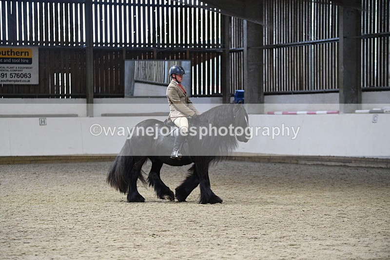 WJ5_8662 - Class 14 Novice Ridden/Rider
