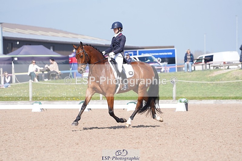 250404-122646-05655 - 028-Elizabeth.Allen-Heraldik