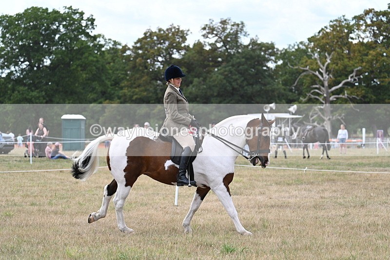 WJ7_5649 - Class 12 Ridden Cob