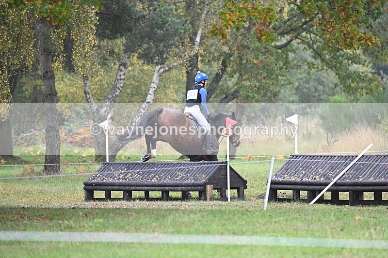 WJ6_4175 - 90cm Cam 1 Time 14:05 to 14:35