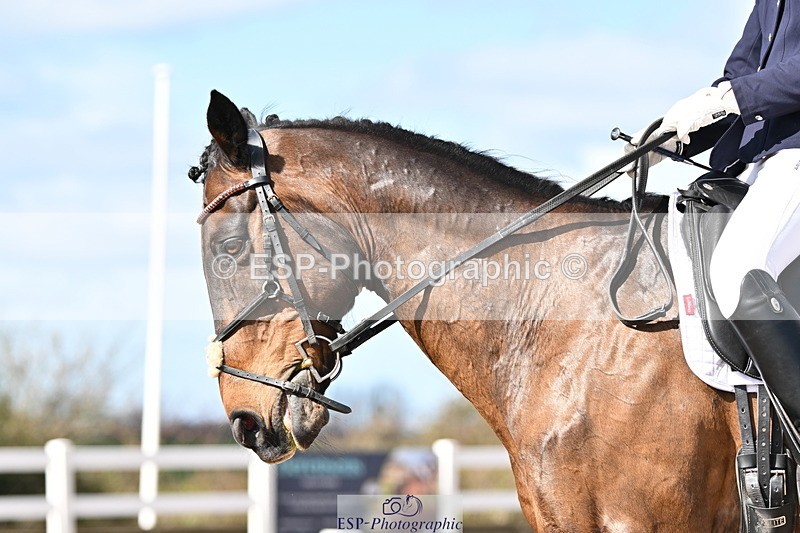 240324A-124953-02388 - Novice 28, 12.15 to 13.00