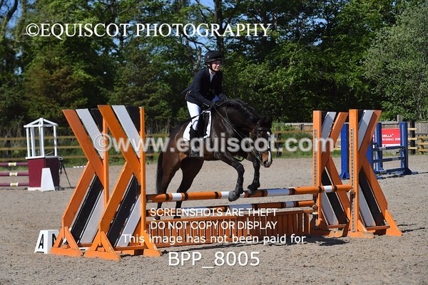 BPP_8005 - CLASS 2 Club/ Unaffiliated 80cms Open