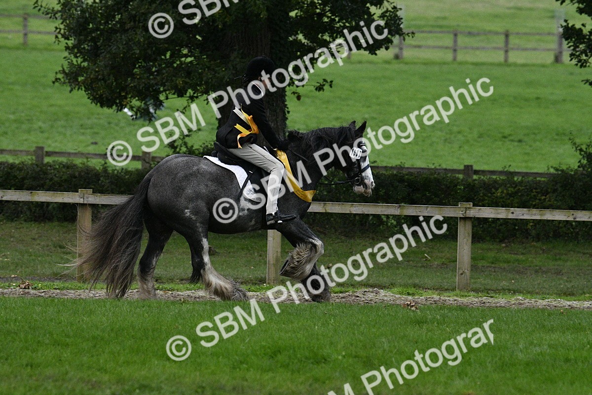 SBM_53330 - S14 - Riding Club Horse
