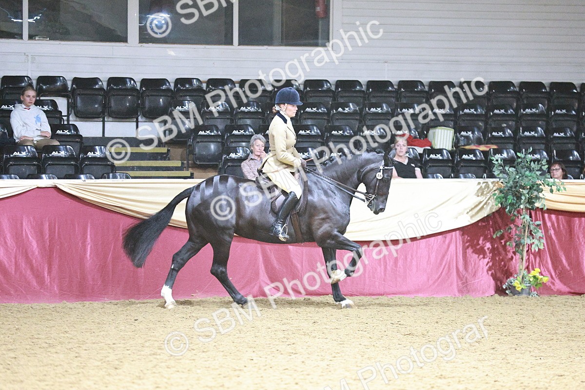 SBM_09008 - Class 12R - Regional Ridden Pre-Vet