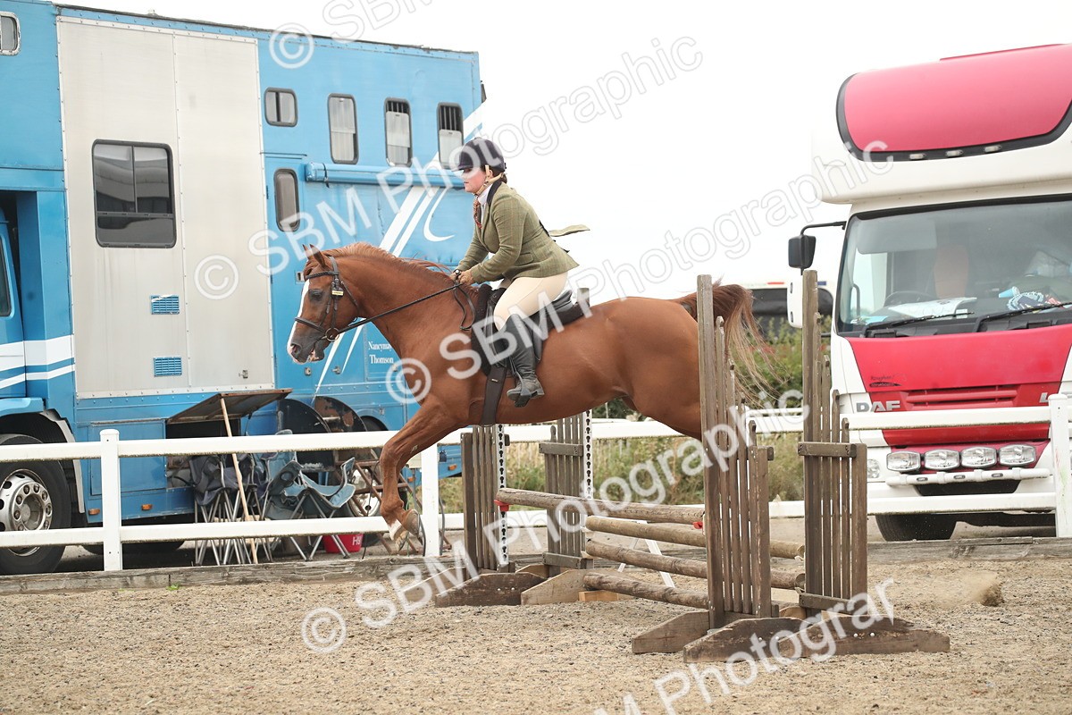 SBM_18370 - Class 509B - Working Veteran - 80cm (20+)