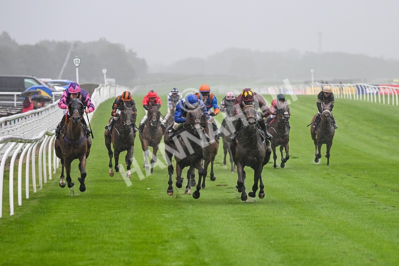 230725-Race 3-Emerald Army-0033 - Race 3