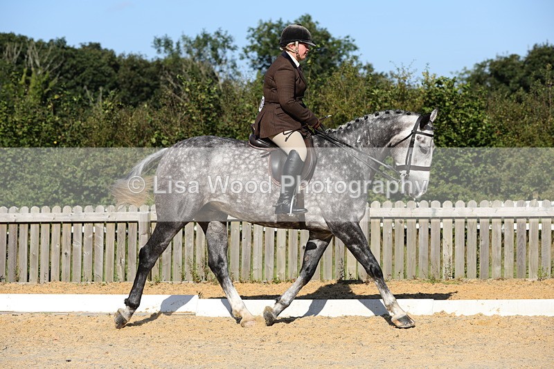 1X9A7665 - Class 8: Small Ridden Hunter